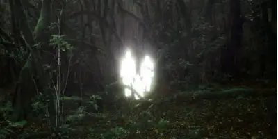 ইবলিস কেন অভিশপ্ত হলো?
